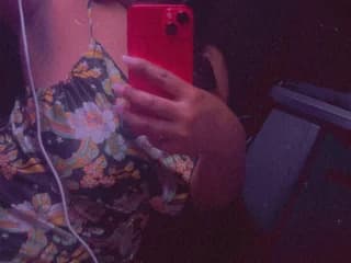 WebCAM di Shebaone